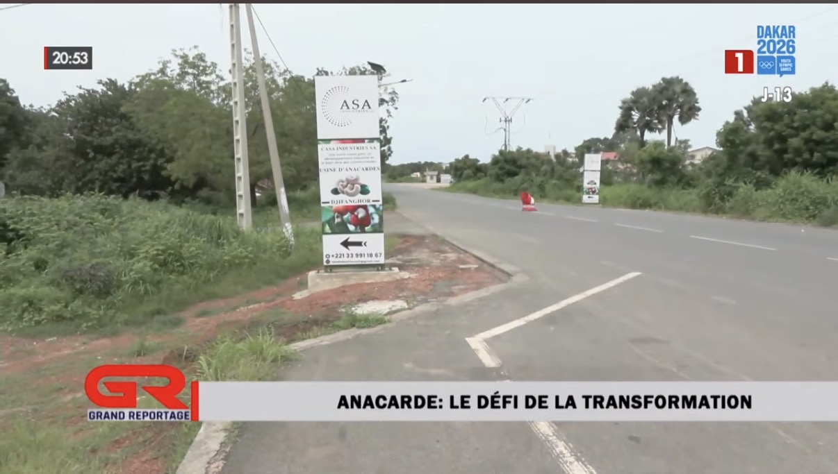 Casa Industries à l’honneur dans un reportage consacré à la transformation de l’anacarde en Casamance
